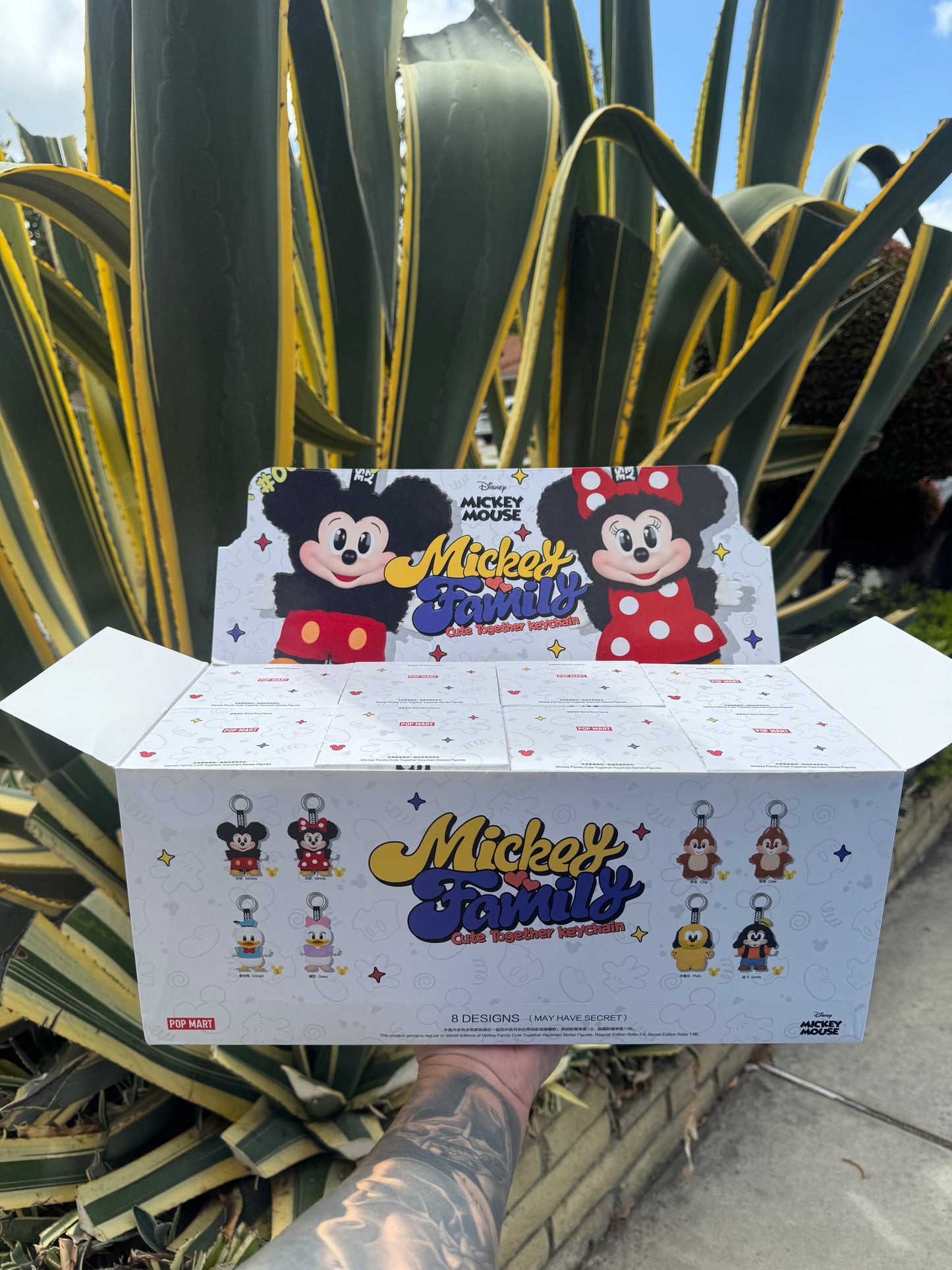 Disney (Mickey Family)