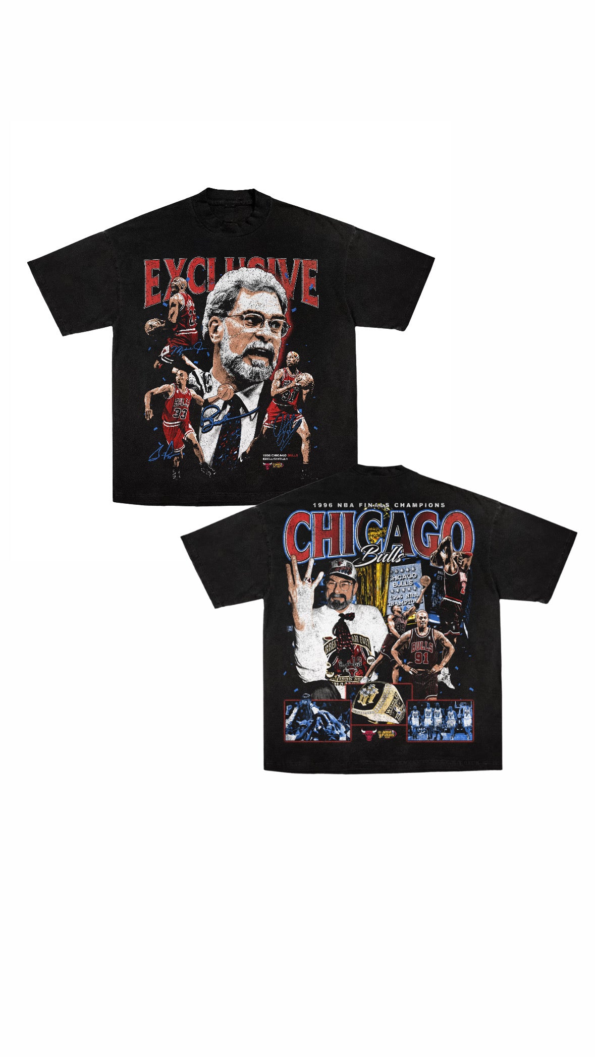 Chicago Bulls 1996 Champions